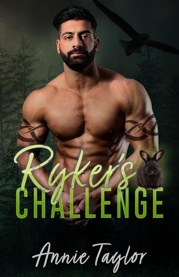 Review: Ryker’ Challenge by Annie Taylor